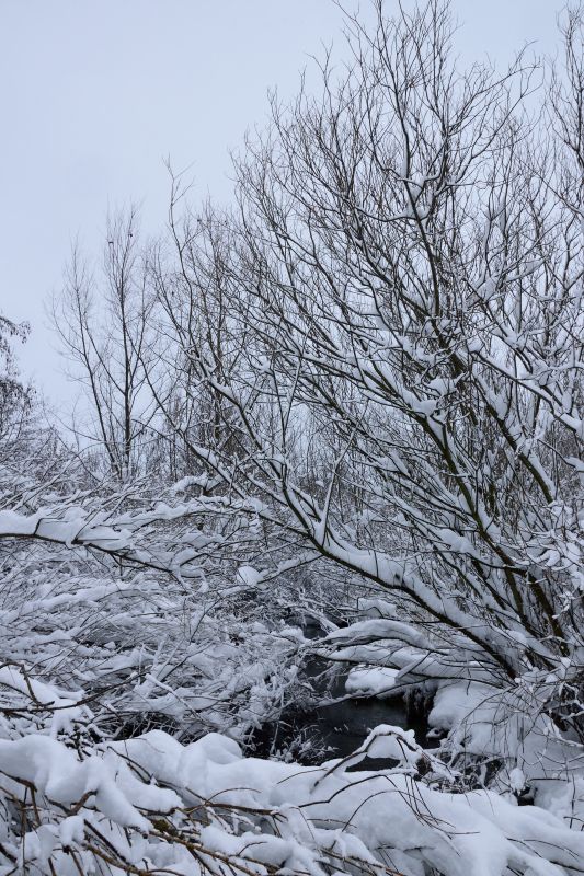... like footsteps in the [soft] snow