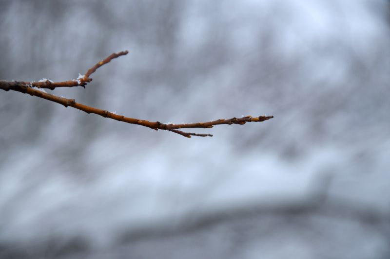 ... like footsteps in the [soft] snow