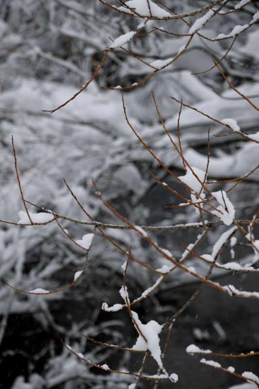 ... like footsteps in the [soft] snow