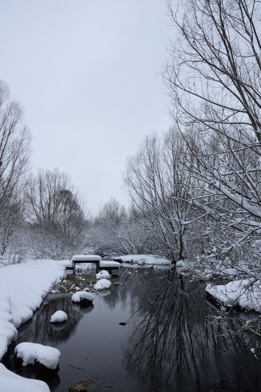 ... like footsteps in the [soft] snow