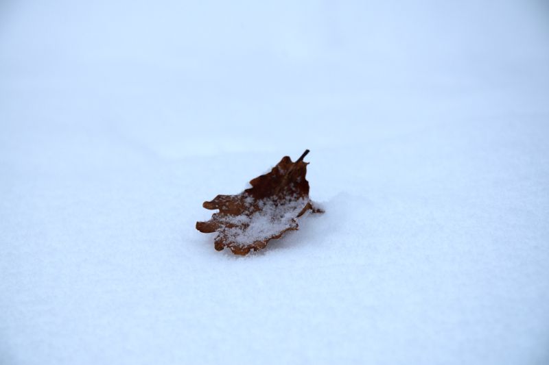 ... like footsteps in the [soft] snow