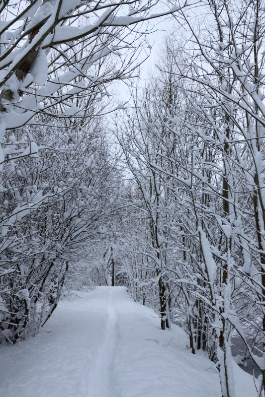 ... like footsteps in the [soft] snow