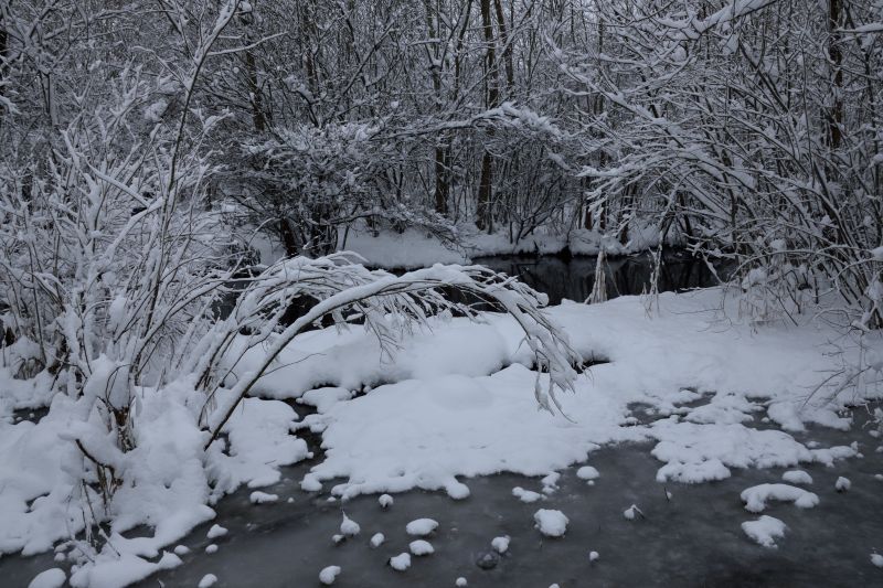 ... like footsteps in the [soft] snow