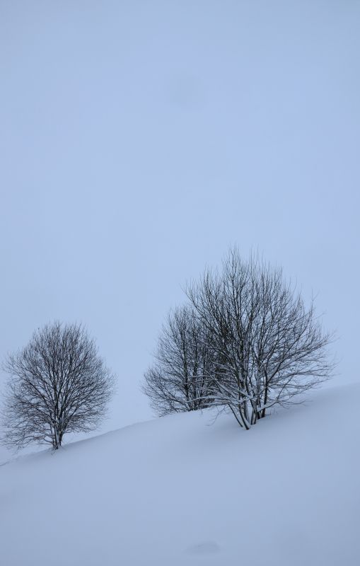 ... like footsteps in the [soft] snow