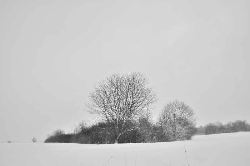 ... like footsteps in the [soft] snow