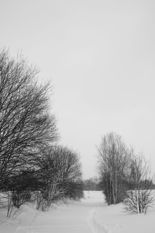 ... like footsteps in the [soft] snow