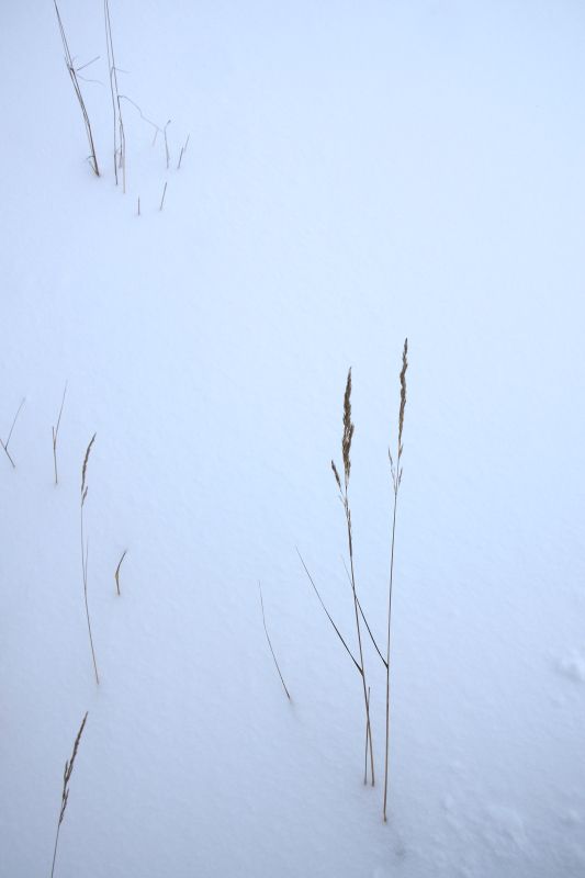 ... like footsteps in the [soft] snow