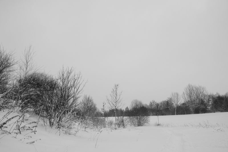... like footsteps in the [soft] snow