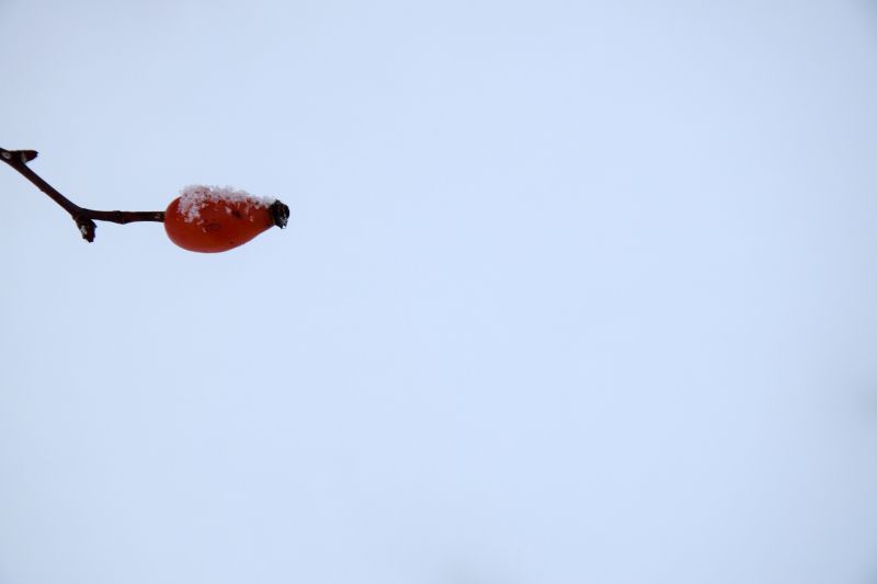 ... like footsteps in the [soft] snow