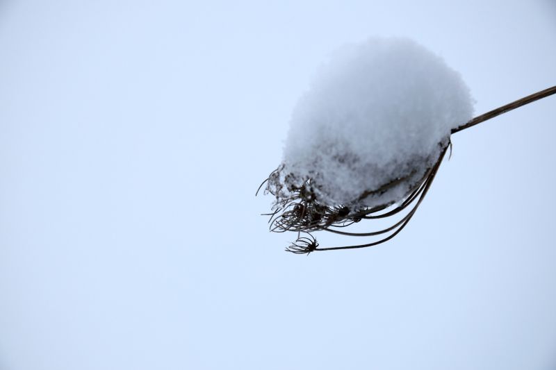 ... like footsteps in the [soft] snow