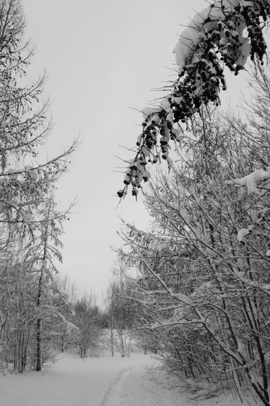 ... like footsteps in the [soft] snow