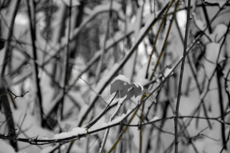 ... like footsteps in the [soft] snow