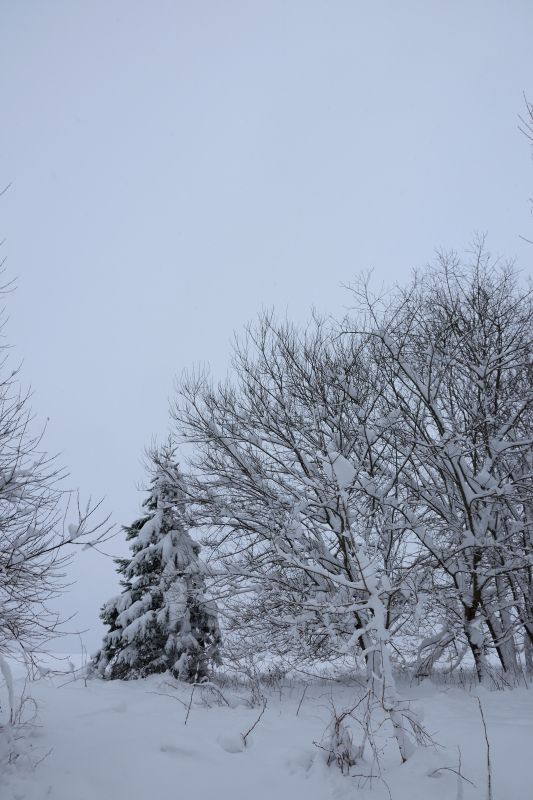 ... like footsteps in the [soft] snow