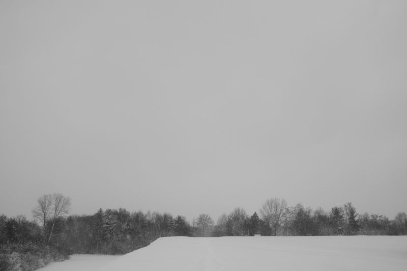 ... like footsteps in the [soft] snow