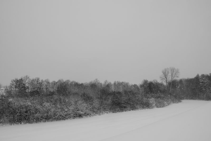 ... like footsteps in the [soft] snow