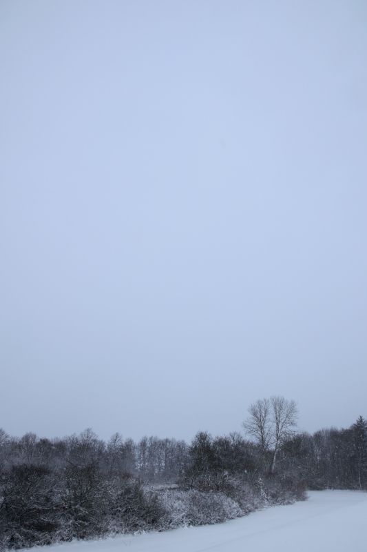 ... like footsteps in the [soft] snow
