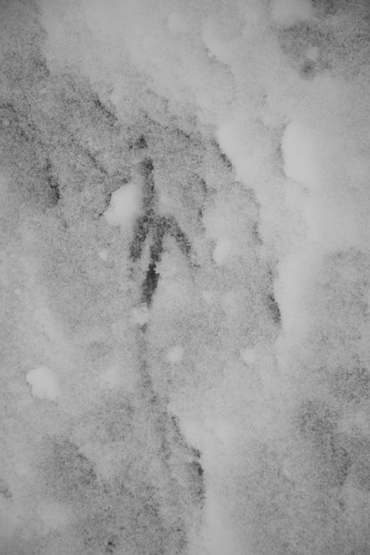 ... like footsteps in the [soft] snow