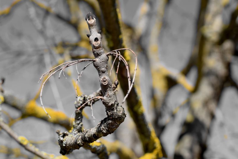 It's a Catkin World out there